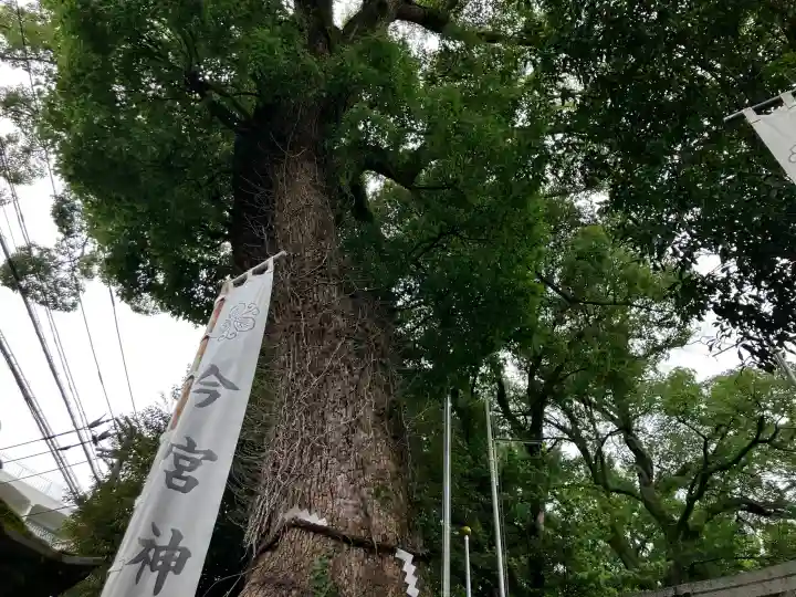 今宮神社(静岡県)