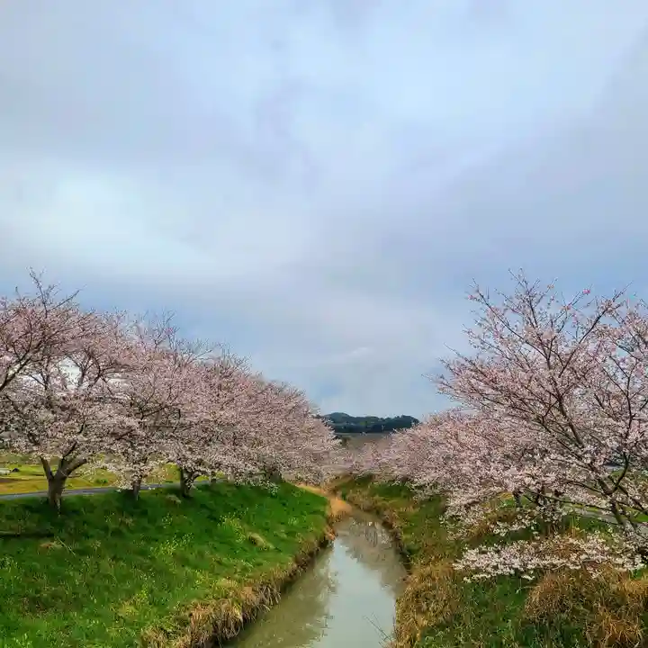 雨櫻神社(静岡県)