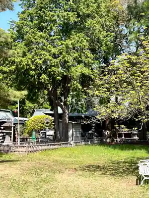 青葉神社(宮城県)