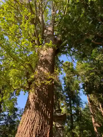 龍善院のその他建物