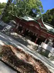 來宮神社の自然