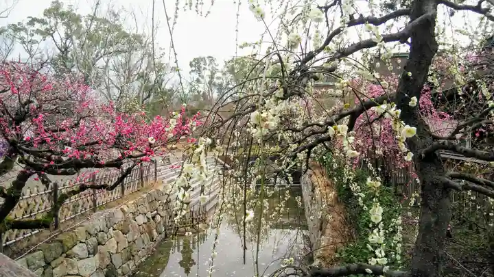 北野天満宮の庭園