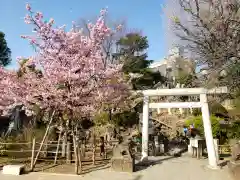 鳩森八幡神社の鳥居