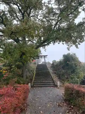 尾崎神社(広島県)