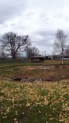 芽生神社の周辺