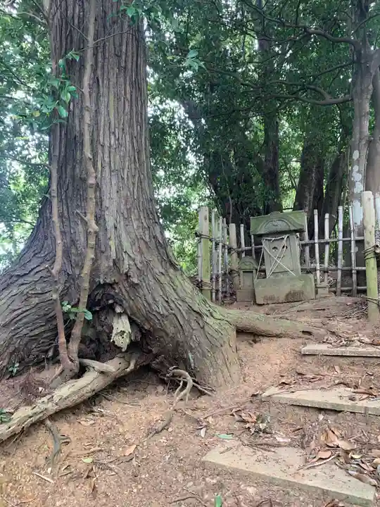 三峯神社(千葉県)