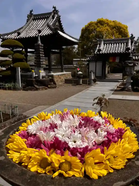真言宗 善通寺派 薬王寺(香川県)