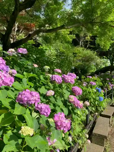 本土寺(千葉県)