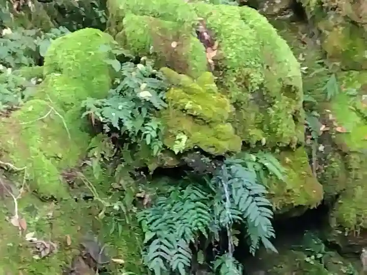 永平寺(福井県)