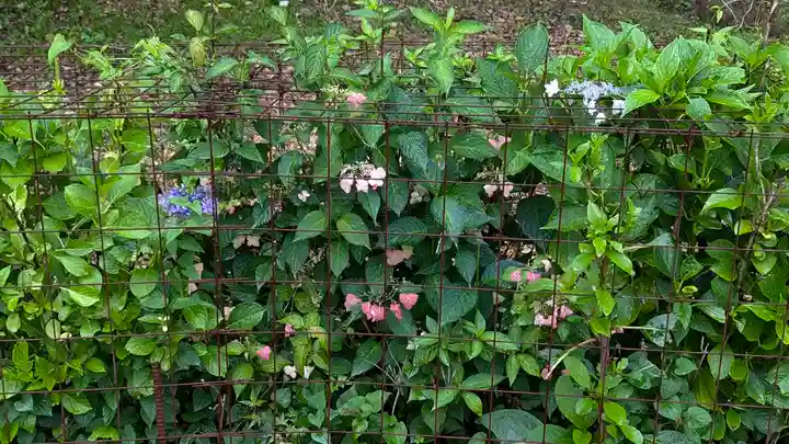 松ヶ崎大黒天 妙圓寺(妙円寺)(京都府)