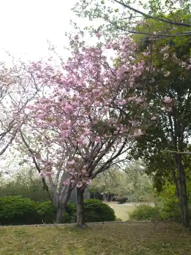 國鉾神社の自然
