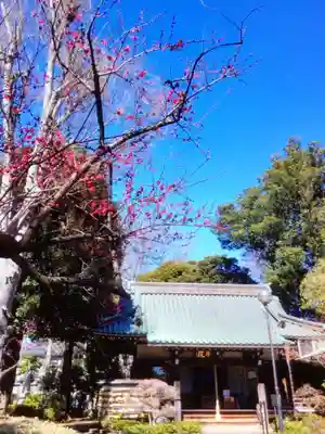 妙法寺(東京都)