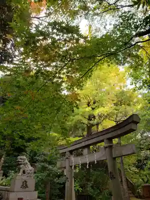 赤坂氷川神社(東京都)
