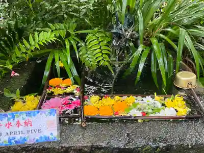 武田神社(山梨県)