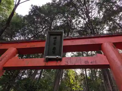 大縣神社(愛知県)