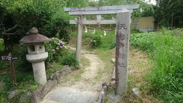 天岩戸神社の鳥居