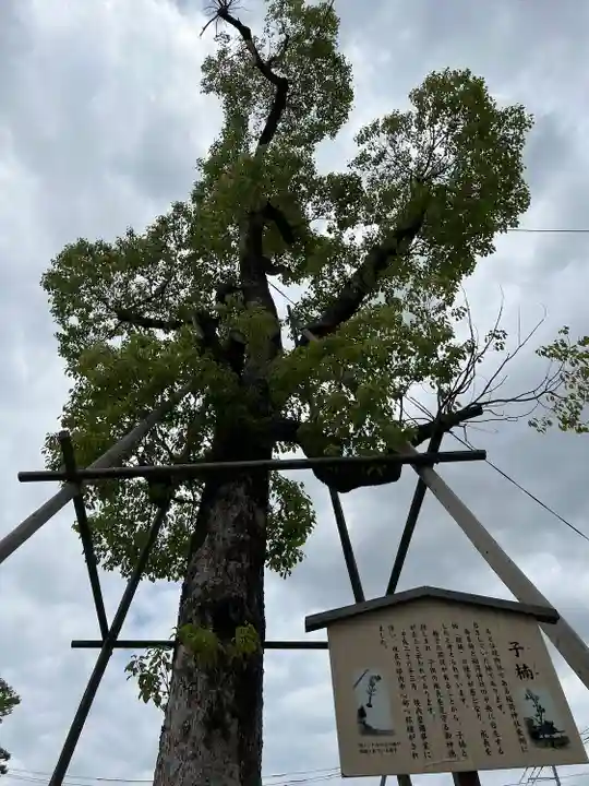 溝口神社(神奈川県)