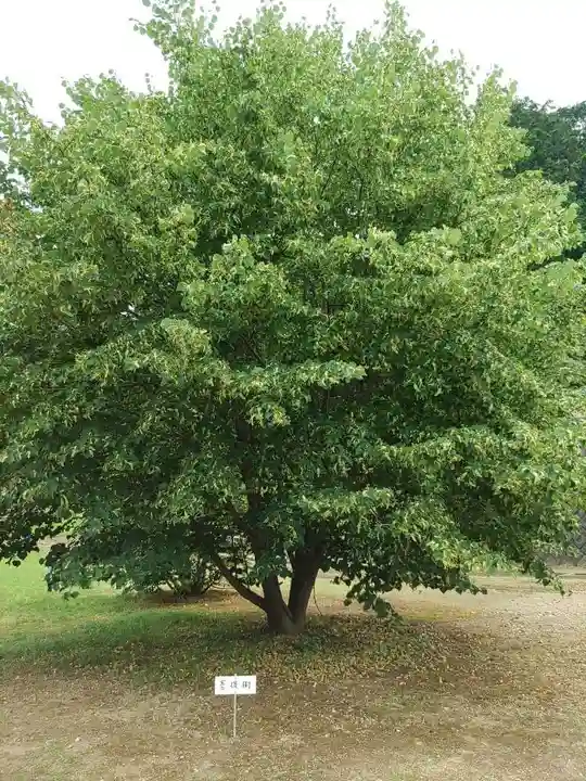 円福寺のその他建物