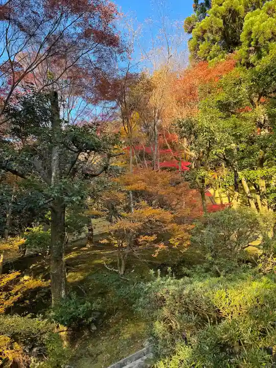 慈照寺(慈照禅寺・銀閣寺)(京都府)