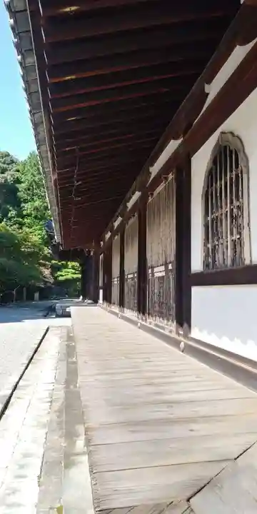 御寺 泉涌寺の本殿・本堂