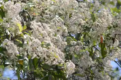 鷺森神社(京都府)