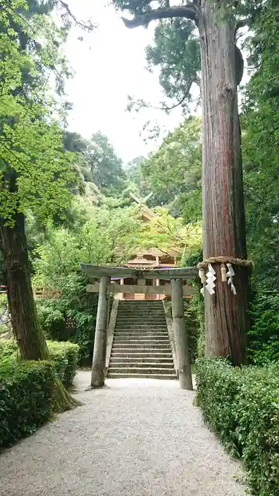 高鴨神社の鳥居