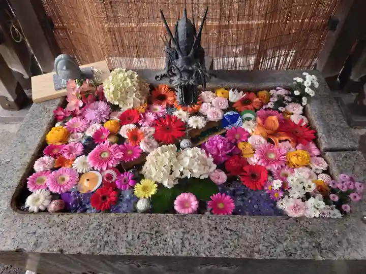 札幌諏訪神社の手水舎