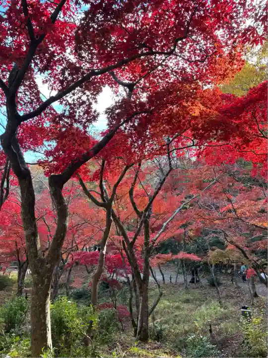 湯神社(彌彦神社末社)(新潟県)