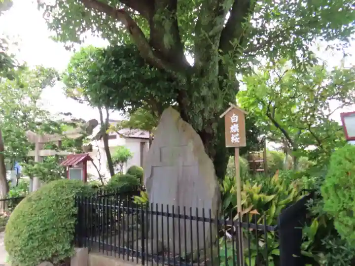 白山神社(東京都)