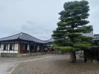 松福寺(福井県)