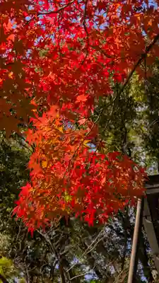 竹中稲荷神社（吉田神社末社）(京都府)