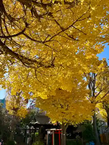 千住本氷川神社(東京都)