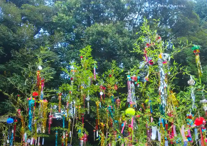 東京大神宮(東京都)