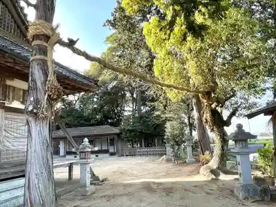 左右神社(滋賀県)