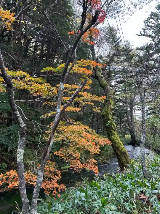 穂高神社奥宮(長野県)