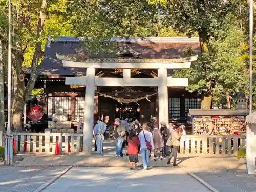 武田神社の手水舎
