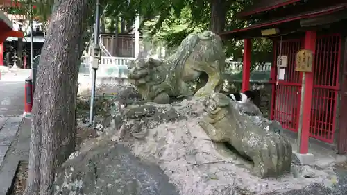 小室浅間神社の狛犬