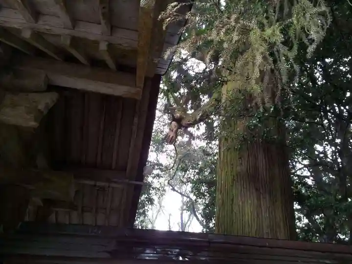 東霧島神社のその他建物