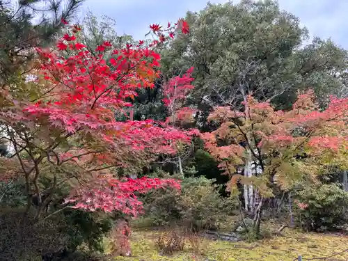 法界寺(日野薬師)の自然