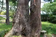 貴船神社の自然