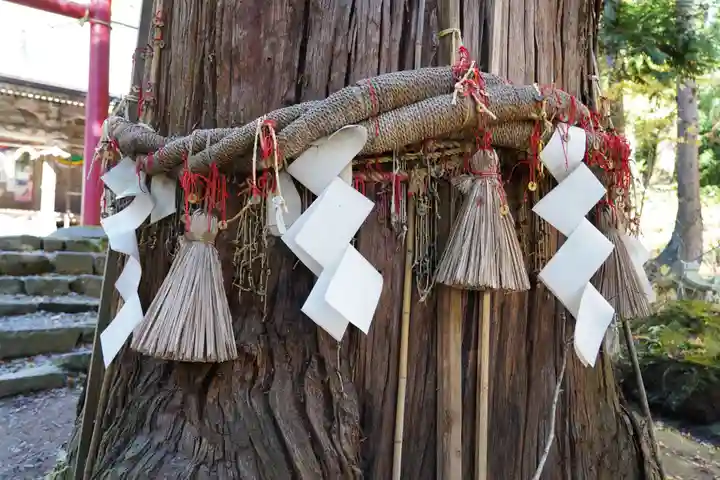 磐椅神社の自然