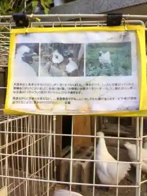 榮久山大法寺(東京都)