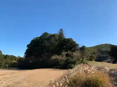 八幡神社の自然