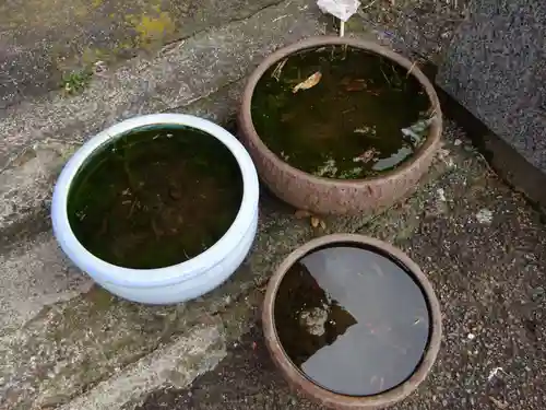 伊勢原 法泉寺の動物
