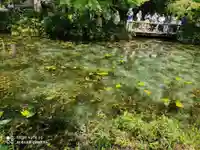 根道神社の庭園