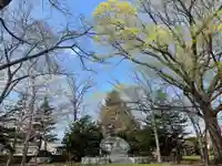 新琴似神社の自然