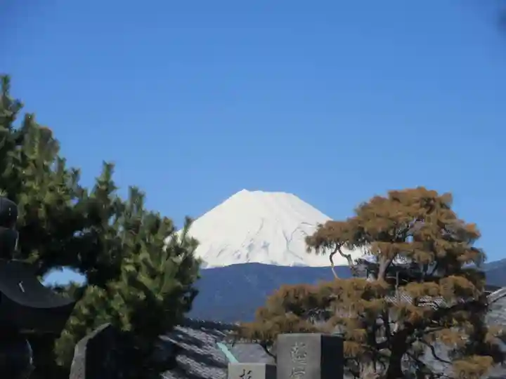 松蔭寺(静岡県)