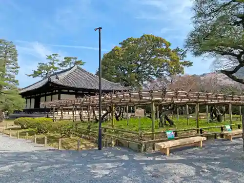 平等院の庭園