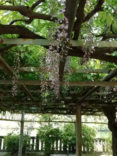 武蔵第六天神社の庭園