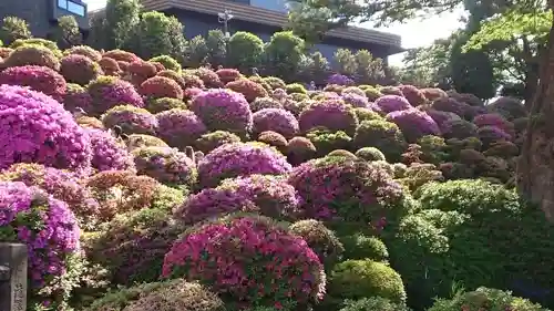 根津神社(東京都)
